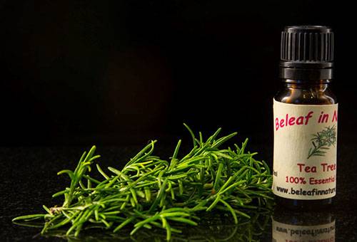 Huile essentielle d'arbre à thé