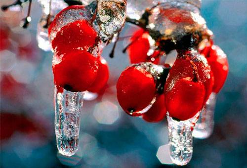 Purification de l'eau de montagne