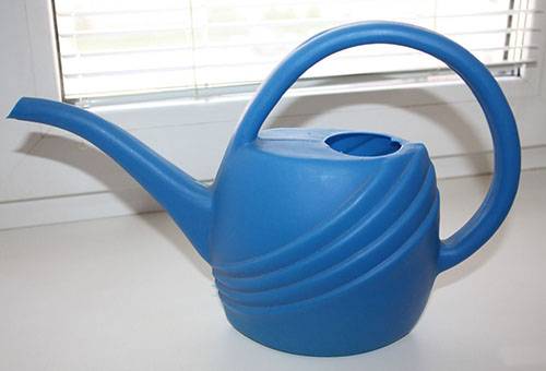 Arrosoir pour arroser les plantes d'intérieur