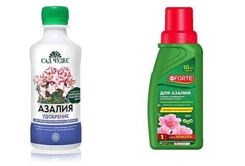 Engrais pour l'azalée