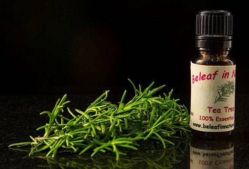 Huile d'arbre à thé