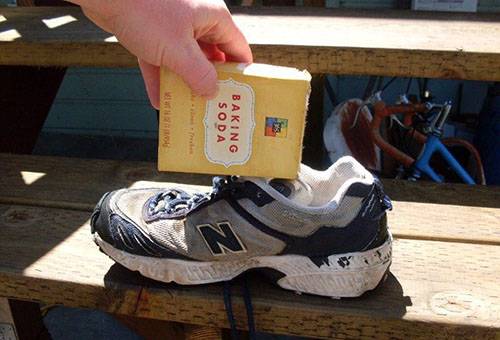 Se débarrasser de l'odeur d'urine de chat avec du soda