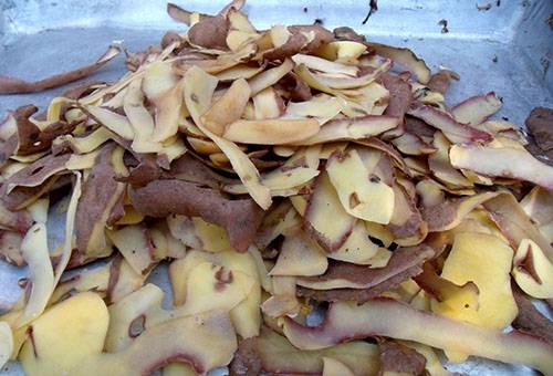 Écorce de pomme de terre