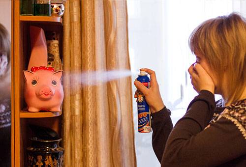 Traitement d'un appartement de puces