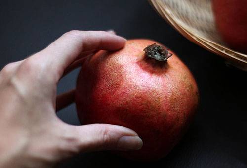 Préparer la grenade pour le stockage