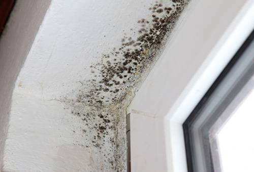 Moisissure sur les pentes d'une fenêtre en plastique