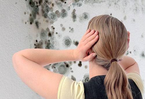 Moisissure sur les murs