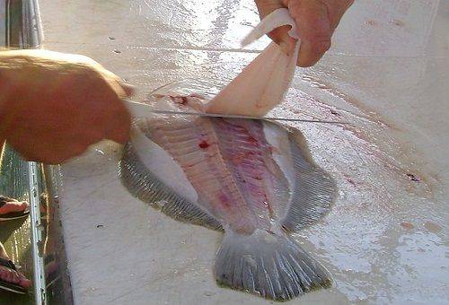 branche de filet de poisson