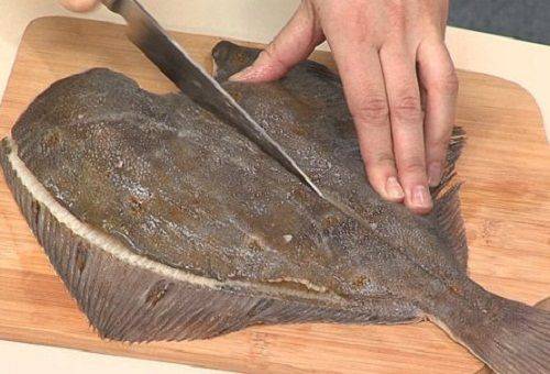 élimination des flocons de poisson