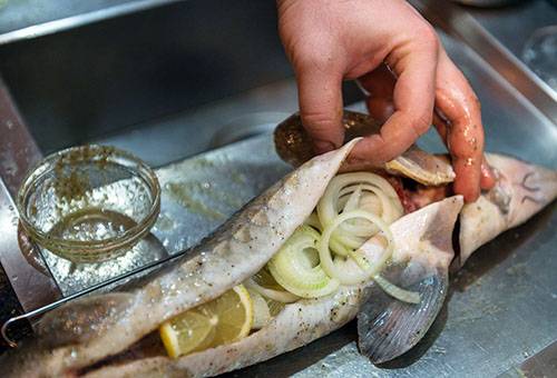 Farce à l'oignon Sterlet