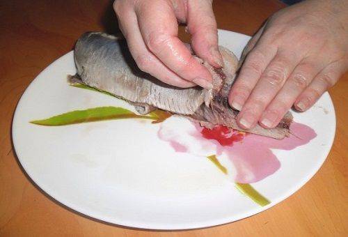 séparation des filets