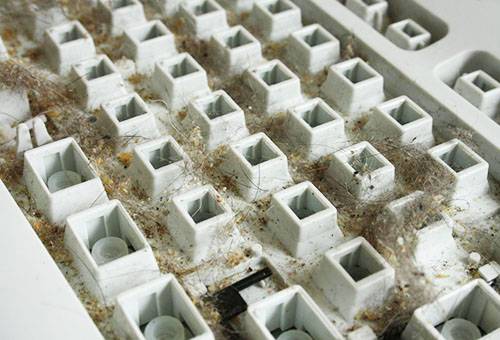 Saleté sous les boutons du clavier