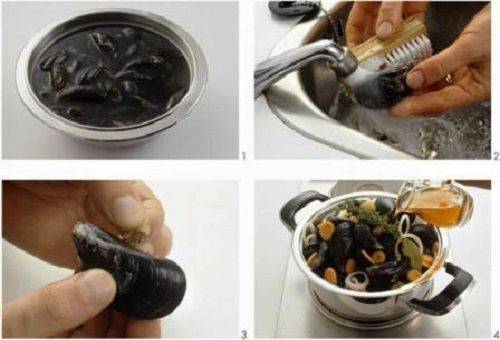 nettoyage des moules