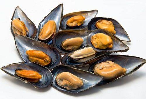 moules sur une assiette