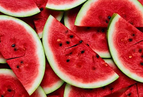 Tranches de melon d'eau