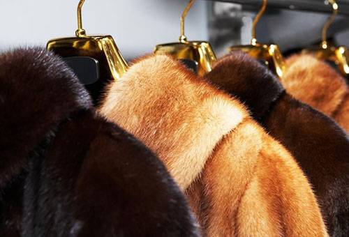 Manteaux sur cintres