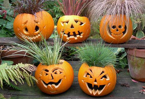 Citrouilles d'halloween