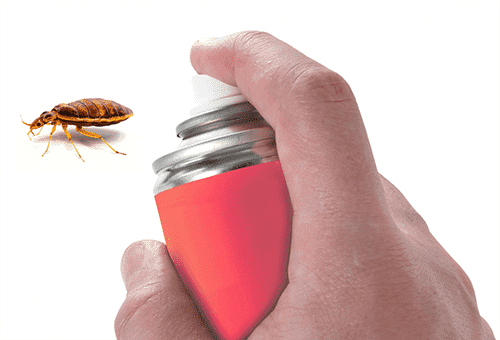 Aérosol de punaises de lit