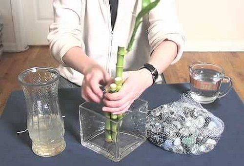 greffe de bambou décoratif