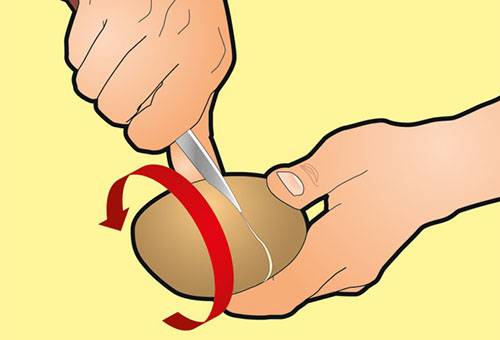 Veste de pomme de terre à pelage simple