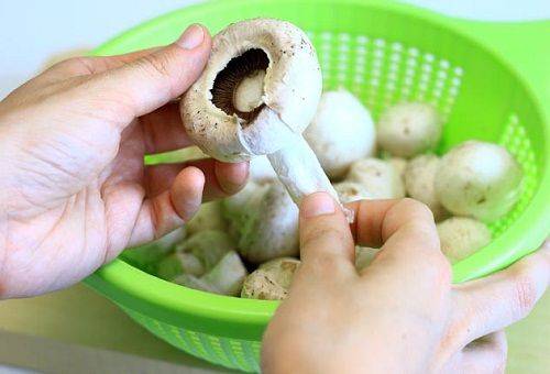 nettoyage des champignons