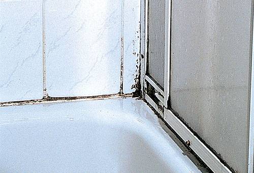 Moisissure dans les joints entre les carreaux