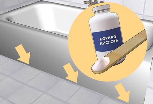 Acide borique de poisson d'argent