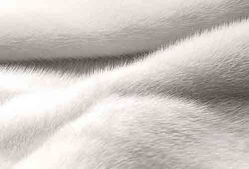 Pure fourrure légère