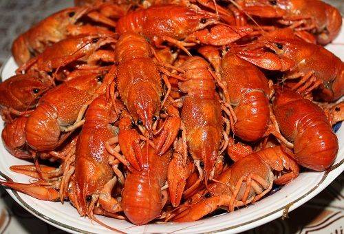 écrevisses bouillies