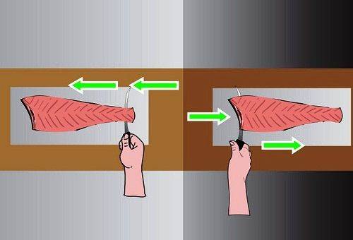 filet de poisson-chat prêt à l'emploi