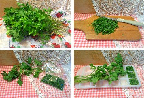 Méthode de stockage de persil 1