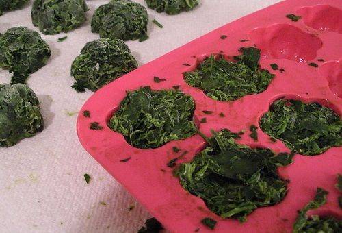 cubes de persil congelés