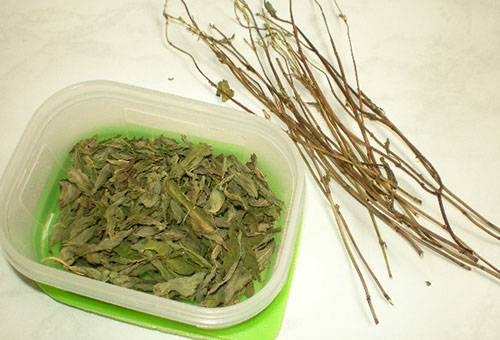 Stockage de menthe poivrée séchée