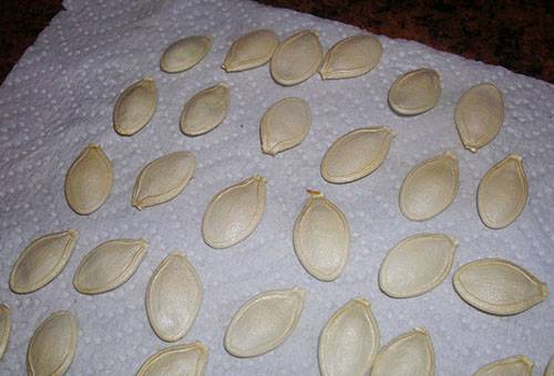 Séchage naturel des graines de citrouille