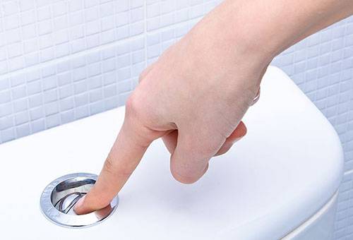 Bouton sur la cuvette des toilettes