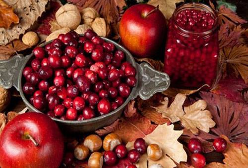 Frais de stockage de viburnum