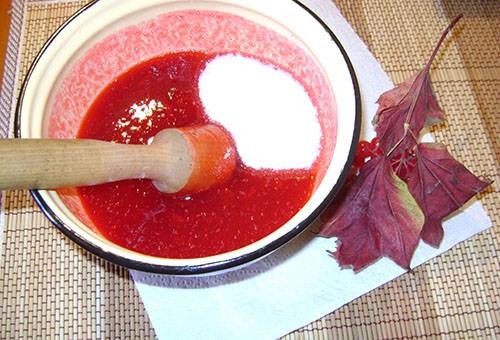 Frotter la viorne avec le sucre