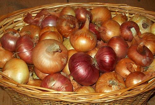 Oignons dans un panier en osier