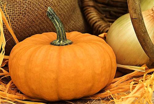 Stockage de citrouilles dans une maison privée