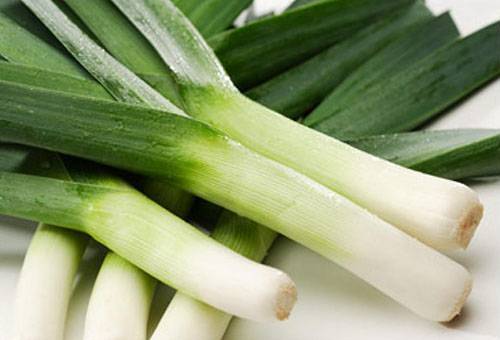 Plume de poireau