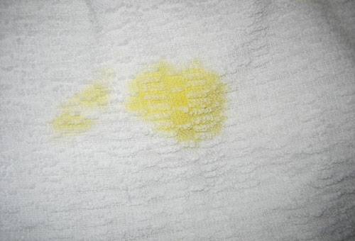 Ancienne tache d'huile d'argousier