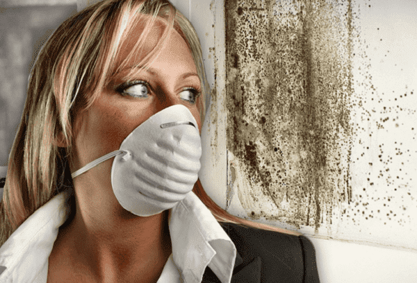 Moisissure sur les murs