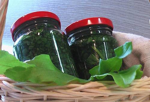 Oseille en conserve dans les banques