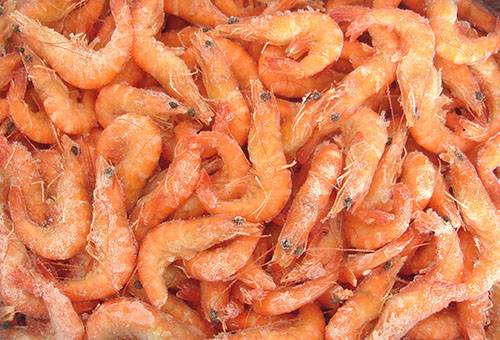 Crevettes congelées