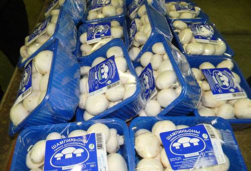 Champignons fermés hermétiquement