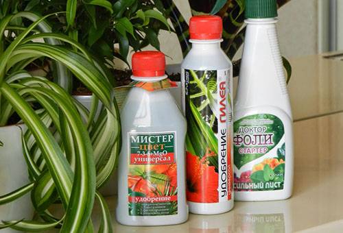 Engrais pour fleurs d'intérieur