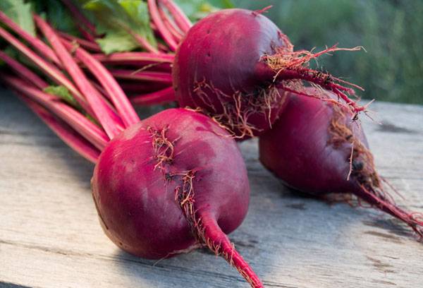 Betteraves fraîches