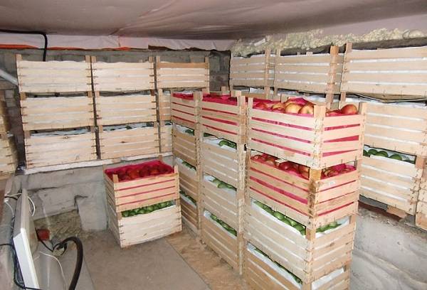 pommes rouges dans des caisses