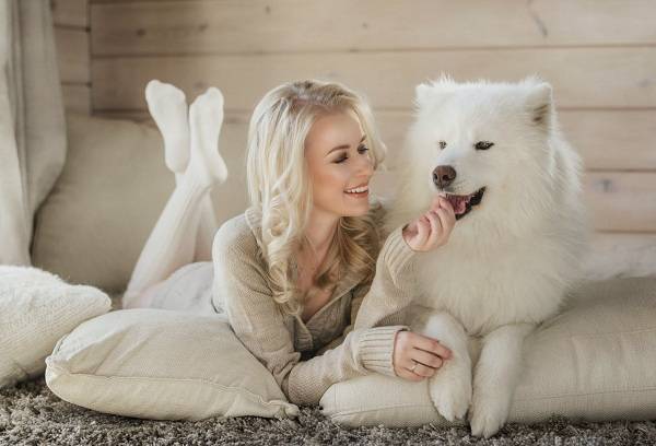 Fille avec un chien blanc à la maison