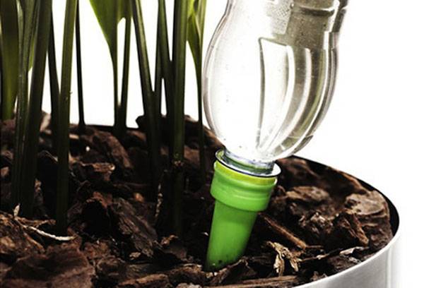 Drop arroser une plante en pot